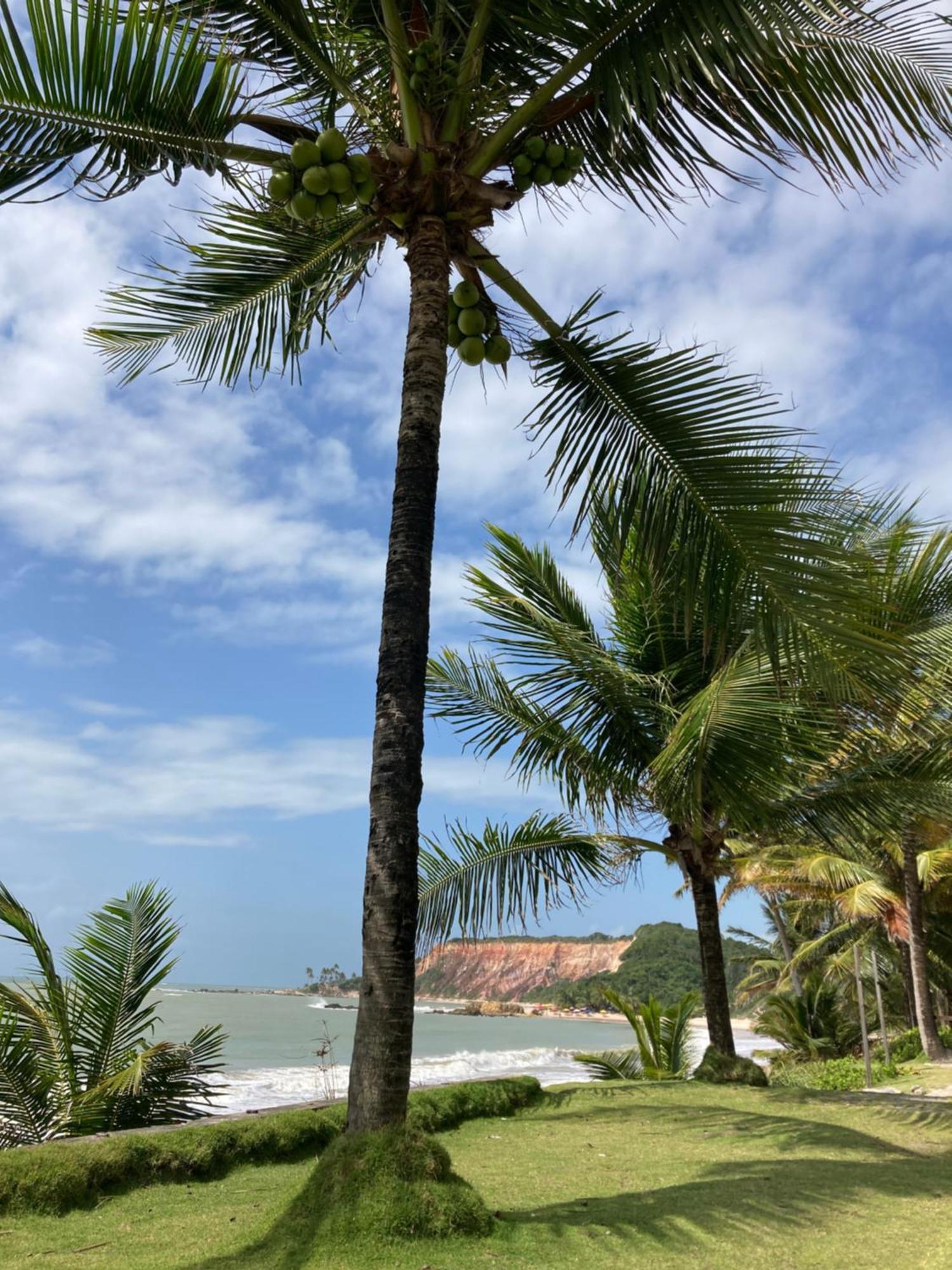 Apartmán Tabatinga Luxxor Flat - Vista Mar Conde  Exteriér fotografie